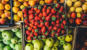 v3ksKo247MWZ2bGr6owD6U