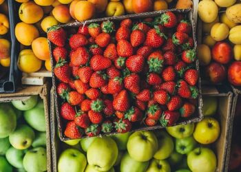 v3ksKo247MWZ2bGr6owD6U