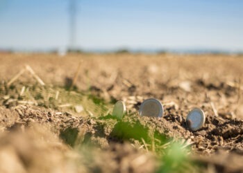 agrotes plhgentes 8 11 2023